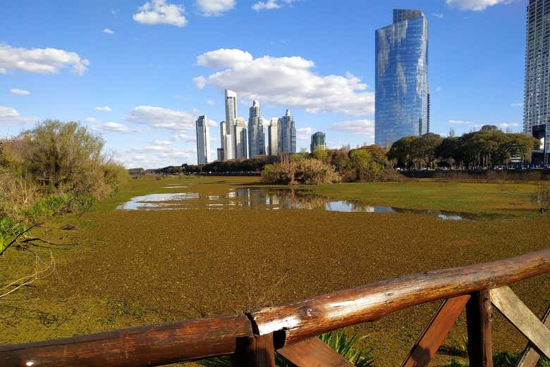 Free tour por Puerto Madero