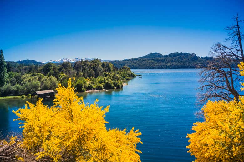 Tour privado de Bariloche al completo