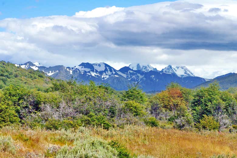 Excursión a la isla Redonda