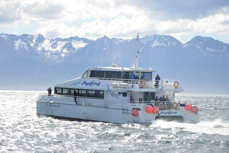 Paseo en barco por el Canal Beagle