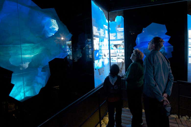 Entrada al Glaciarium