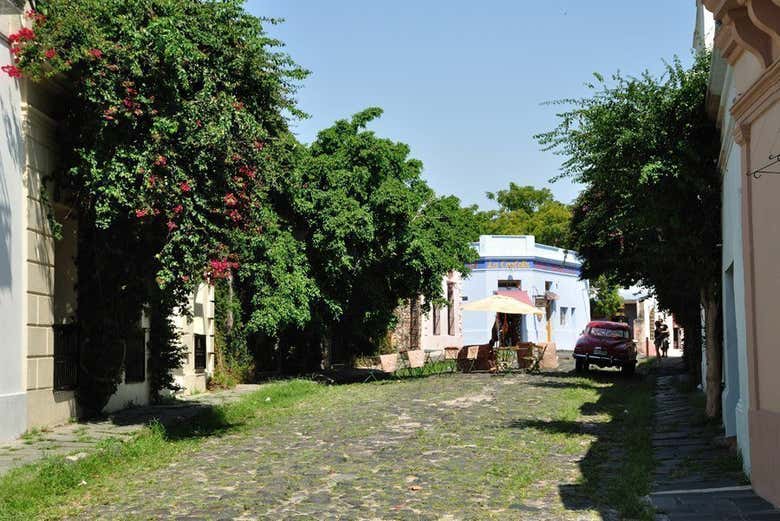 Excursión a Colonia del Sacramento + Autobús turístico
