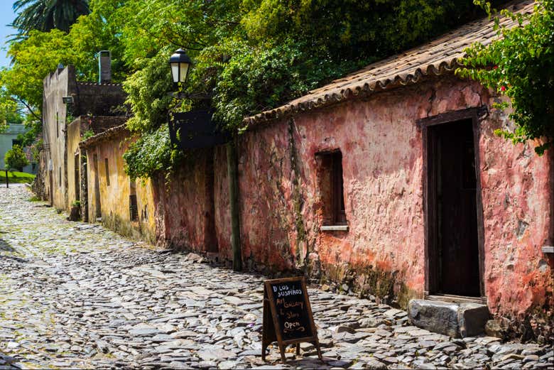 Excursión a Colonia del Sacramento + Autobús turístico