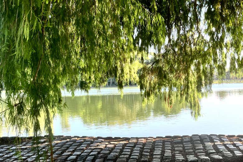 Tour por los parques de Palermo