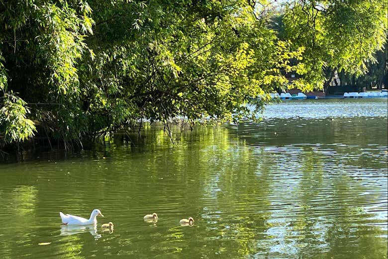 Tour por los parques de Palermo