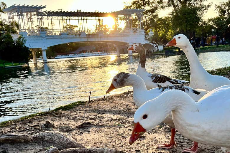 Tour por los parques de Palermo