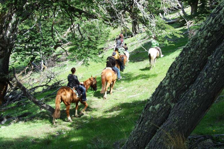 Excursión al Cerro Frías