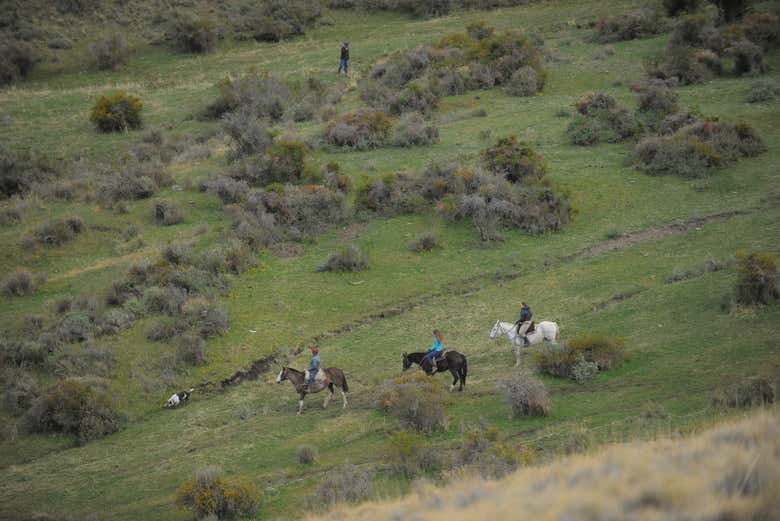Excursión al Cerro Frías