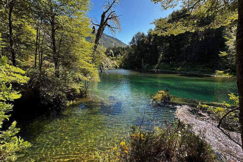 Excursión privada a los lagos Gutiérrez, Guillelmo y Mascardi