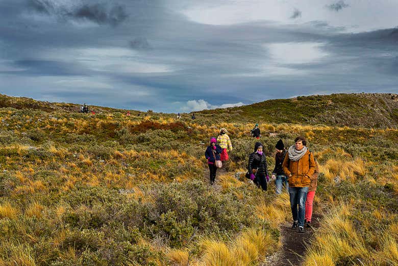 Paseo en yate por el Canal Beagle + Trekking por isla Bridges