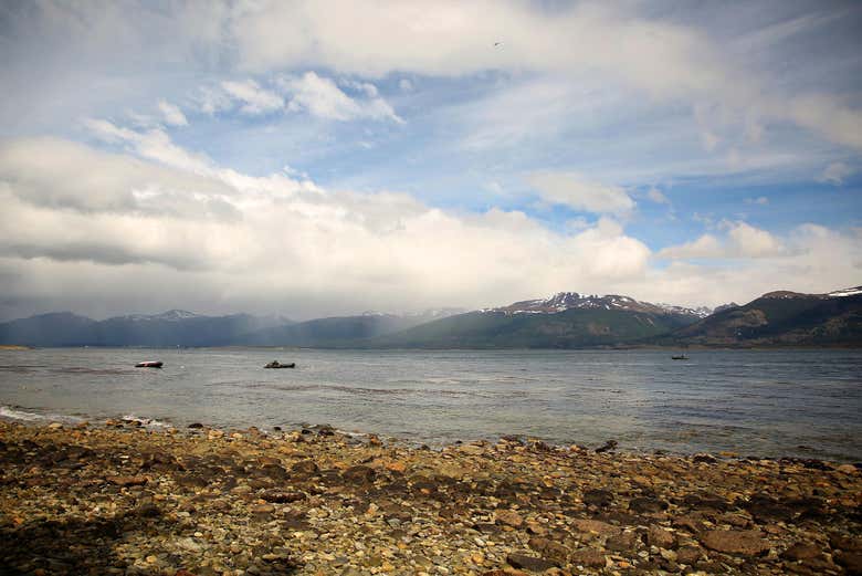 Paseo en yate por el Canal Beagle + Trekking por isla Bridges