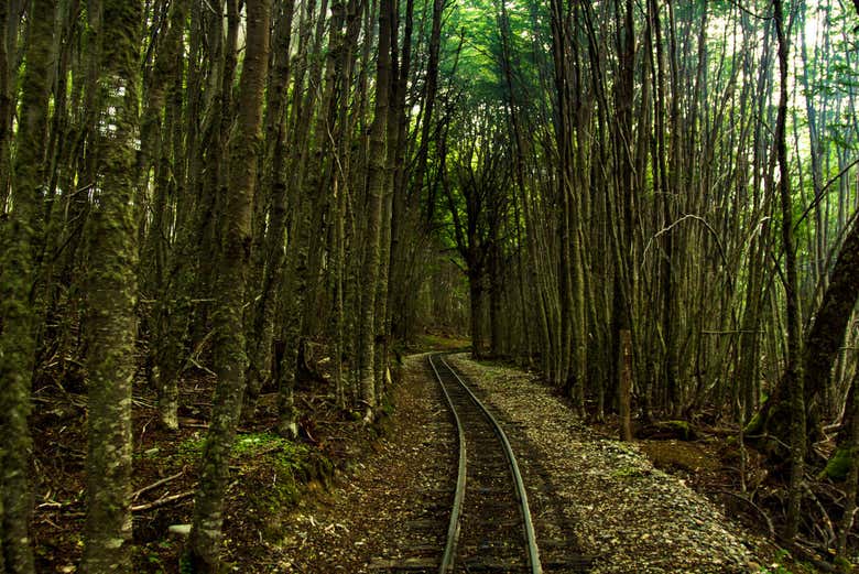 Tierra del Fuego, Tren del Fin del Mundo y Canal Beagle