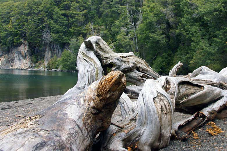 Tour privado por Bariloche