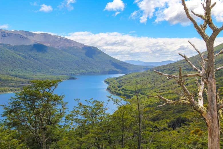 Tour del whisky por Tierra del Fuego