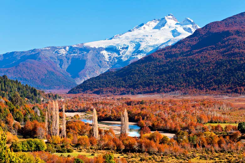 Excursión al Cerro Tronador