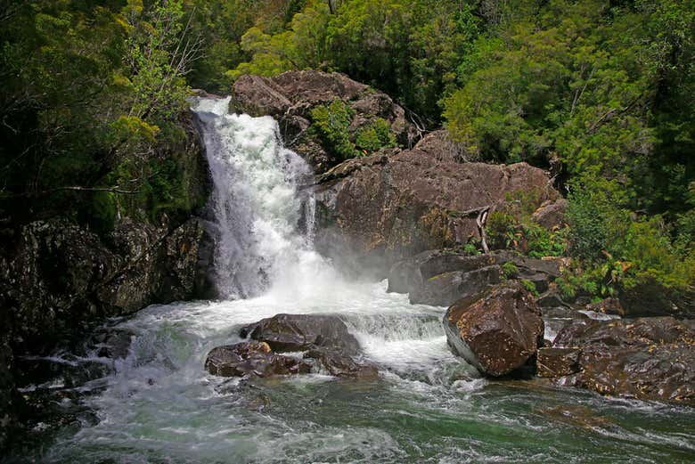 Excursión al Cerro Tronador
