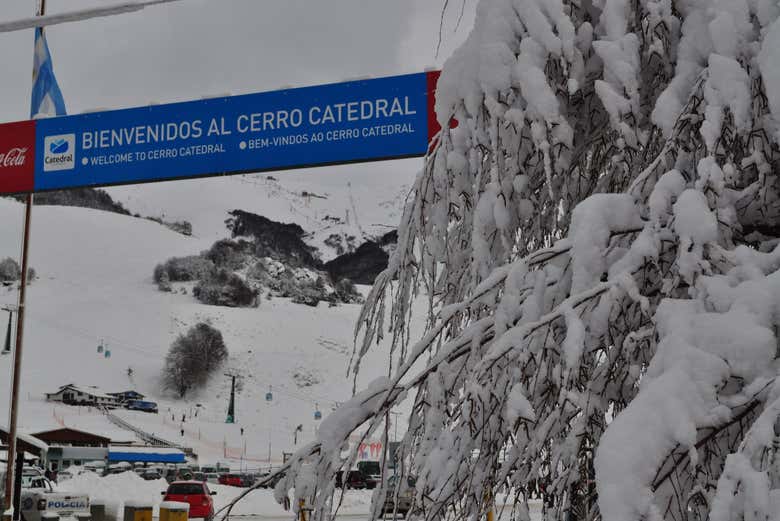 Tour por el Circuito Chico + Cerro Catedral