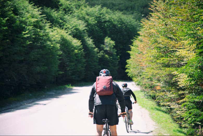 Excursión en bicicleta eléctrica por Ushuaia