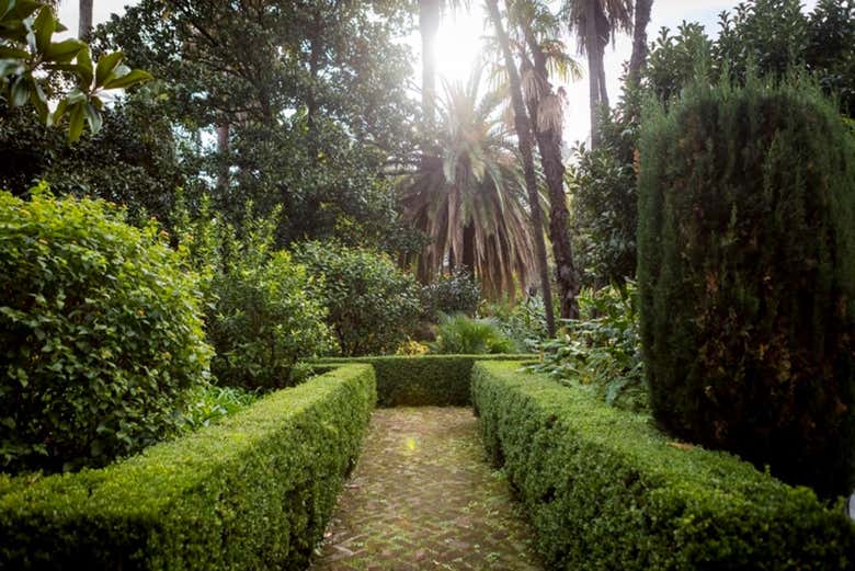 Tour por el Barrio Chino y el parque Barrancas de Belgrano
