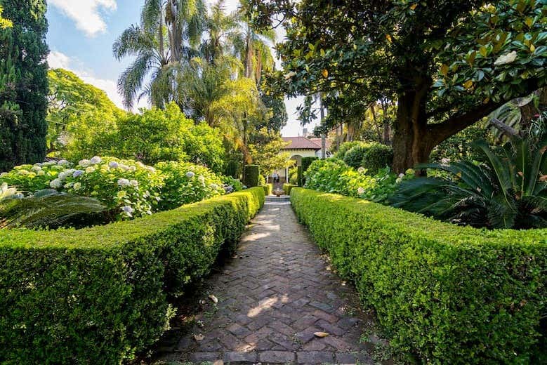 Tour por el Barrio Chino y el parque Barrancas de Belgrano
