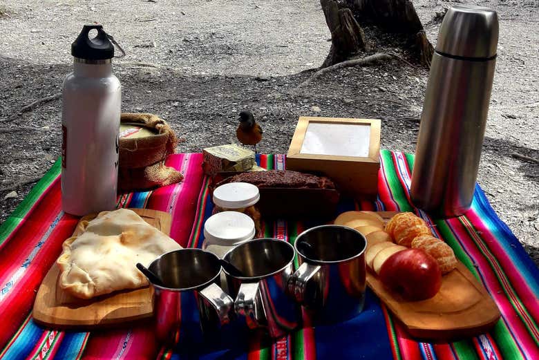 Trekking en la Laguna Esmeralda