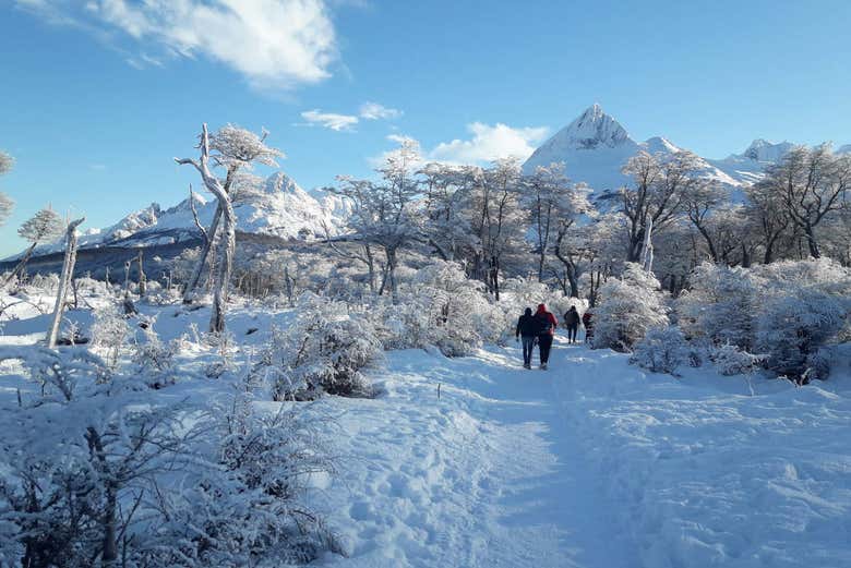 Trekking en la Laguna Esmeralda