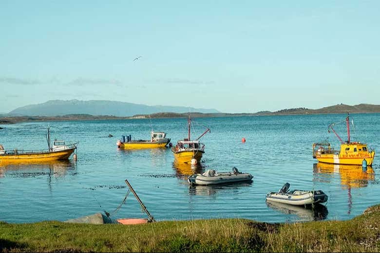 Excursión a Puerto Almanza y la laguna Victoria + Comida en el Canal Beagle