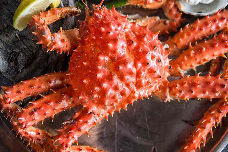 Excursión a Puerto Almanza y la laguna Victoria + Comida en el Canal Beagle