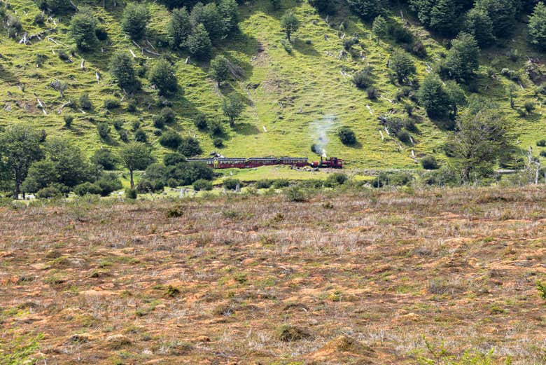 Excursión al Parque Nacional Tierra del Fuego + Tren del Fin del Mundo