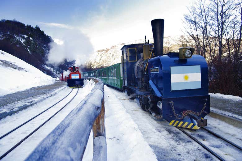 Excursión al Parque Nacional Tierra del Fuego + Tren del Fin del Mundo