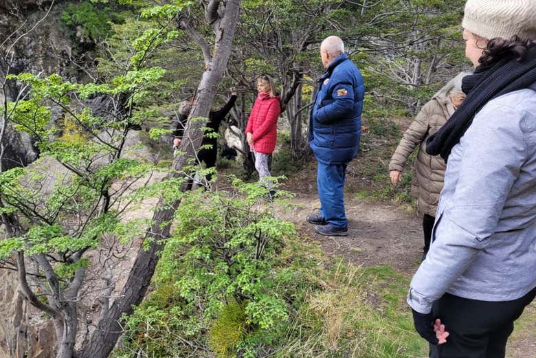 Ruta de la Centolla + Avistamiento de pingüinos en la isla Martillo