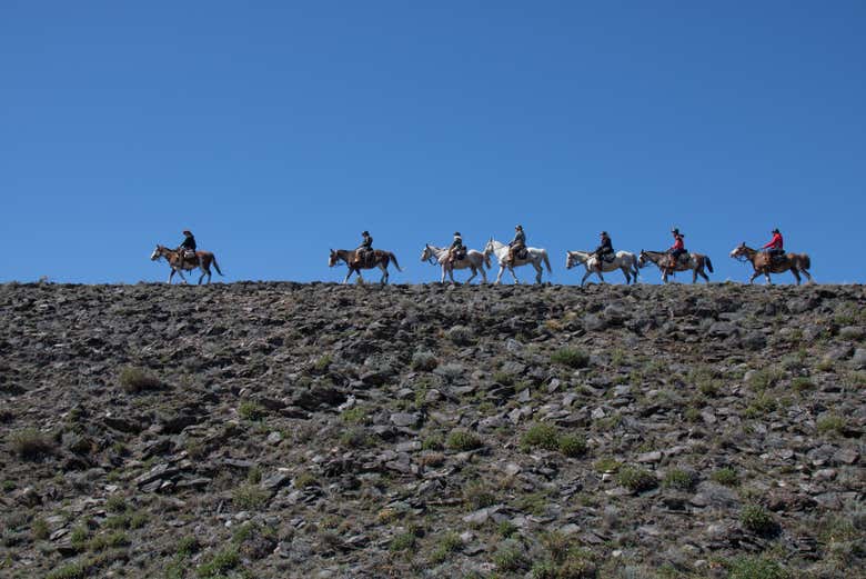 Paseo a caballo por la Estancia Cristina
