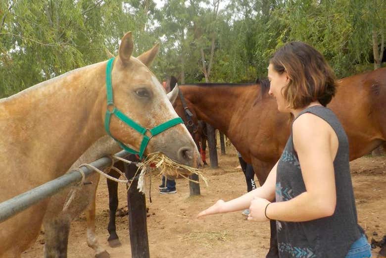 Paseo a caballo por Capilla del Señor