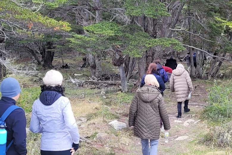 Excursión en 4x4 a las lagunas Negra y Fagnano