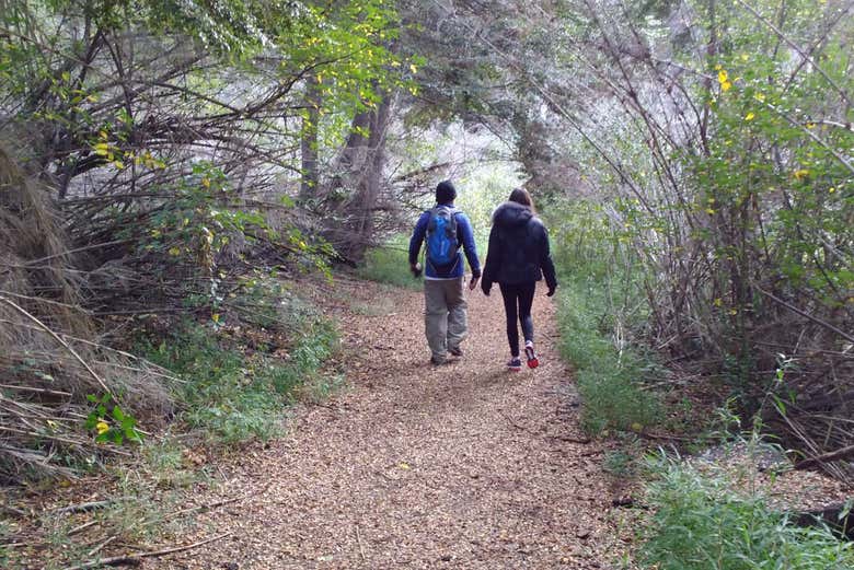 Trekking por el Cerro Llao Llao