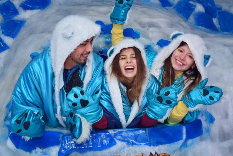 Entrada a un Ice Bar