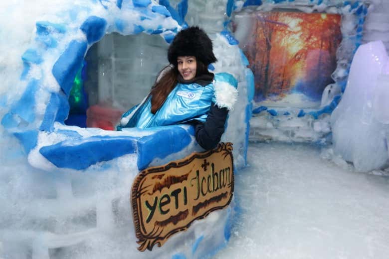 Entrada a un Ice Bar