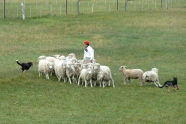Excursin a la Estancia El Galpn