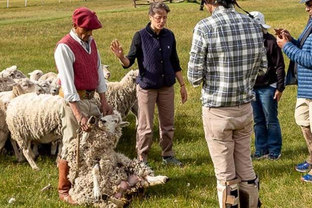 Excursión a la Estancia El Galpón