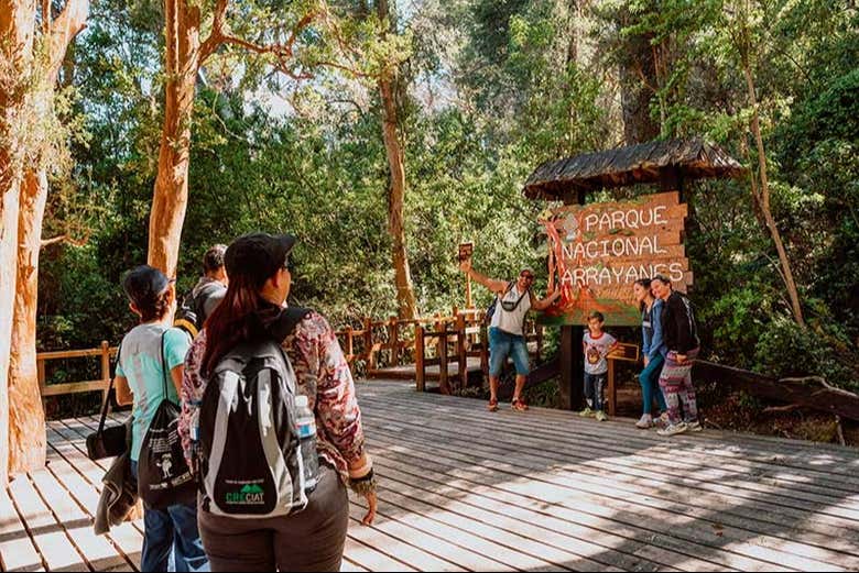 Excursión a Isla Victoria y Bosque de Arrayanes
