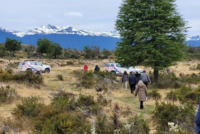 Excursión a Puerto Almanza + Paseo con raquetas y moto de nieve