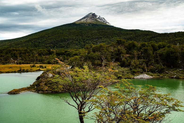 Trekking por el Parque Nacional Tierra del Fuego