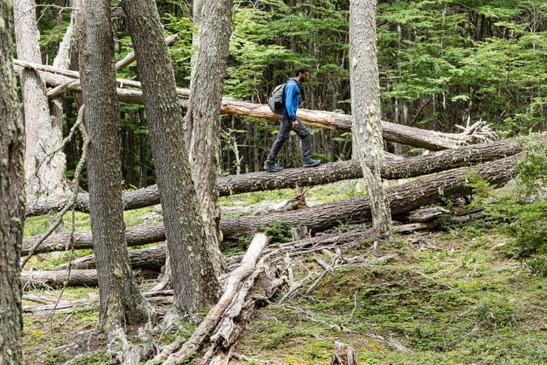 Trekking por el Parque Nacional Tierra del Fuego