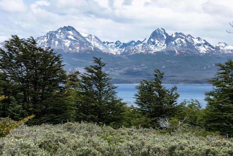 Trekking por el Parque Nacional Tierra del Fuego