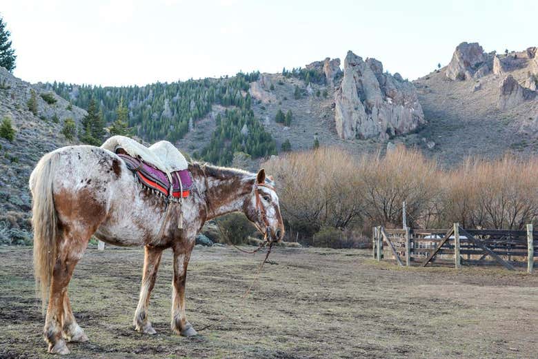 Excursión a la estancia San Ramón