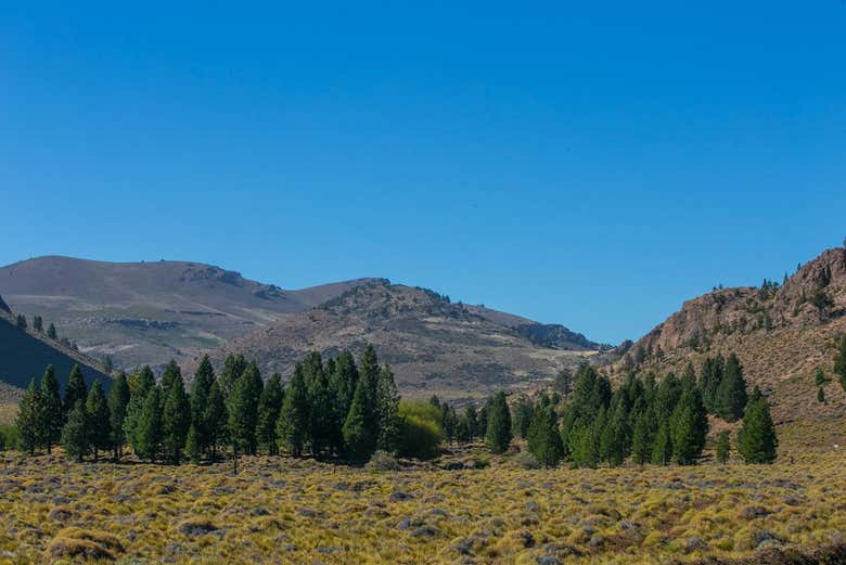 Excursión a la estancia San Ramón