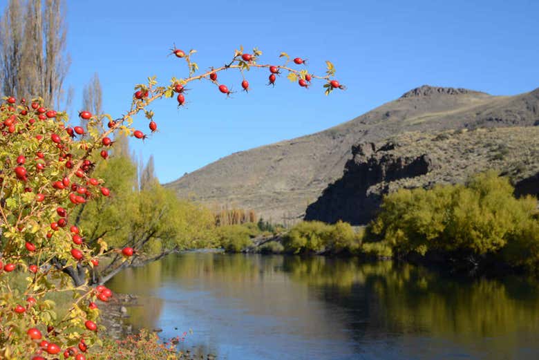 Excursión privada a Villa Llanquín