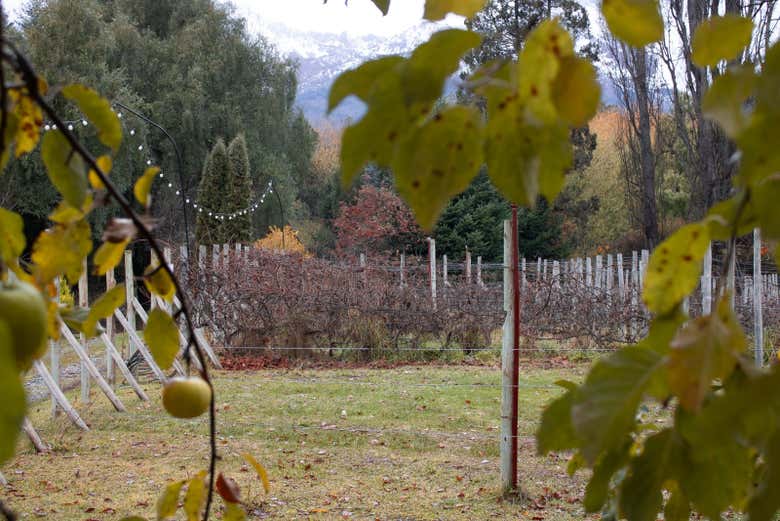 Tour de bodegas por El Bolsón y el lago Puelo