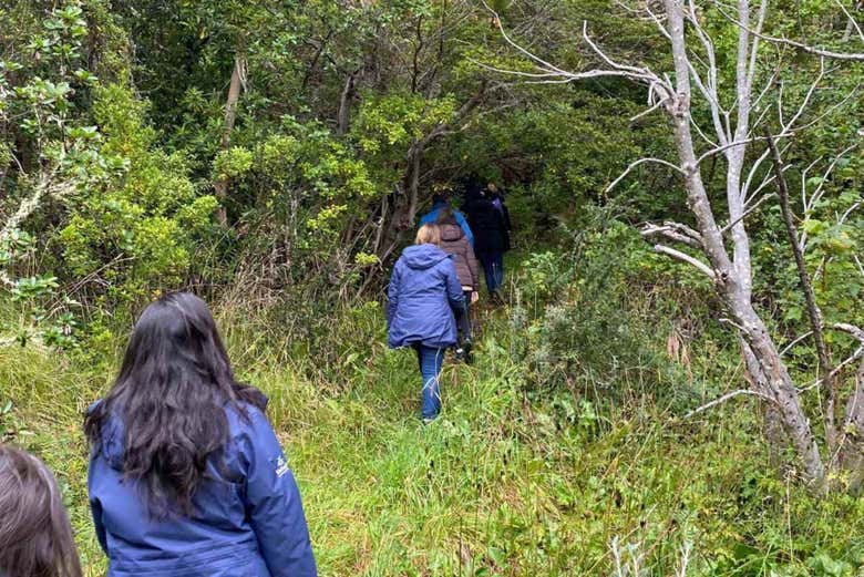 Tour por Tierra del Fuego + Barco a la isla Redonda
