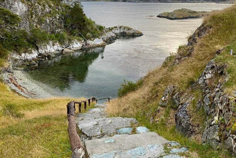 Tour por Tierra del Fuego + Barco a la isla Redonda